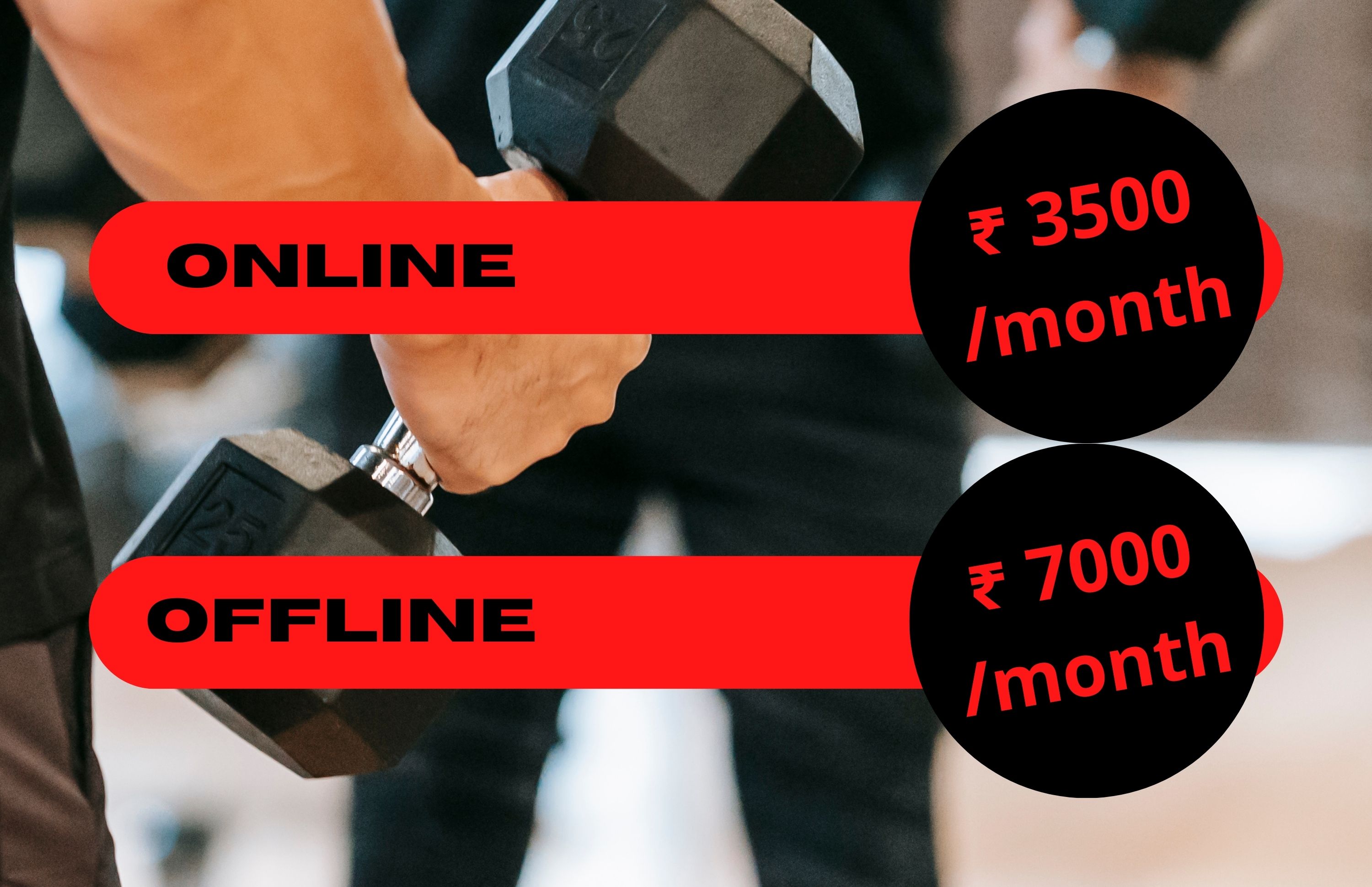 Parturient accumsan cacus pulvinar magna