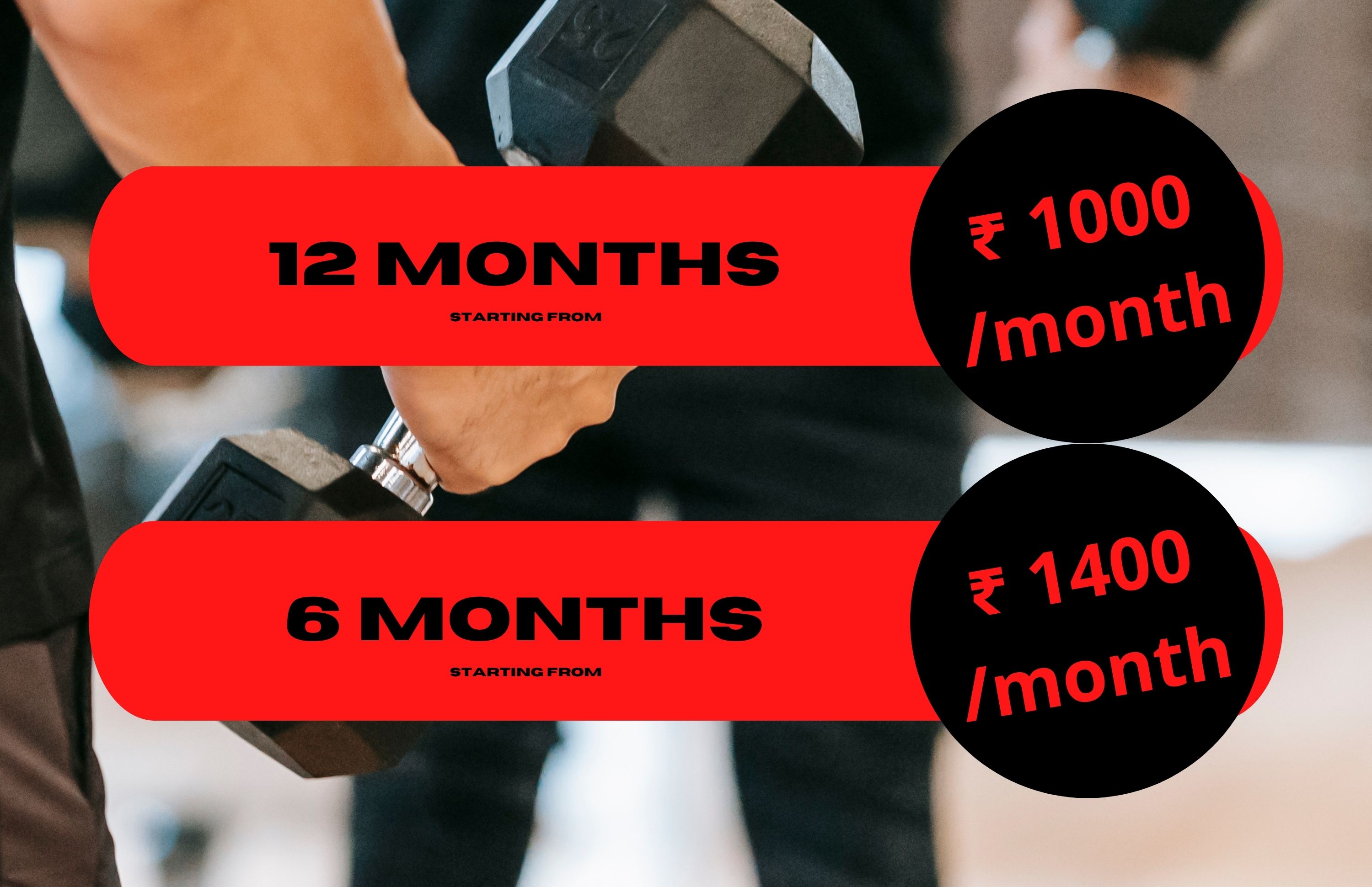 Risus purus namien parturient accumsan cacus